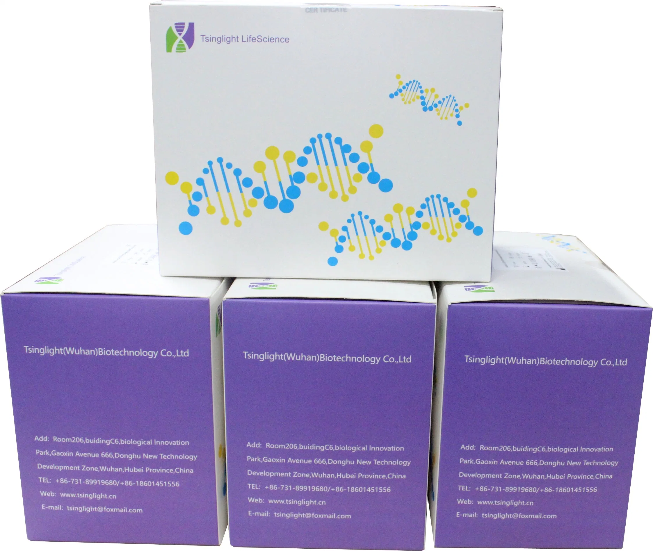 Ivd Reagent Rapid Test Kit Streptococcus Pneumoniae Antigen