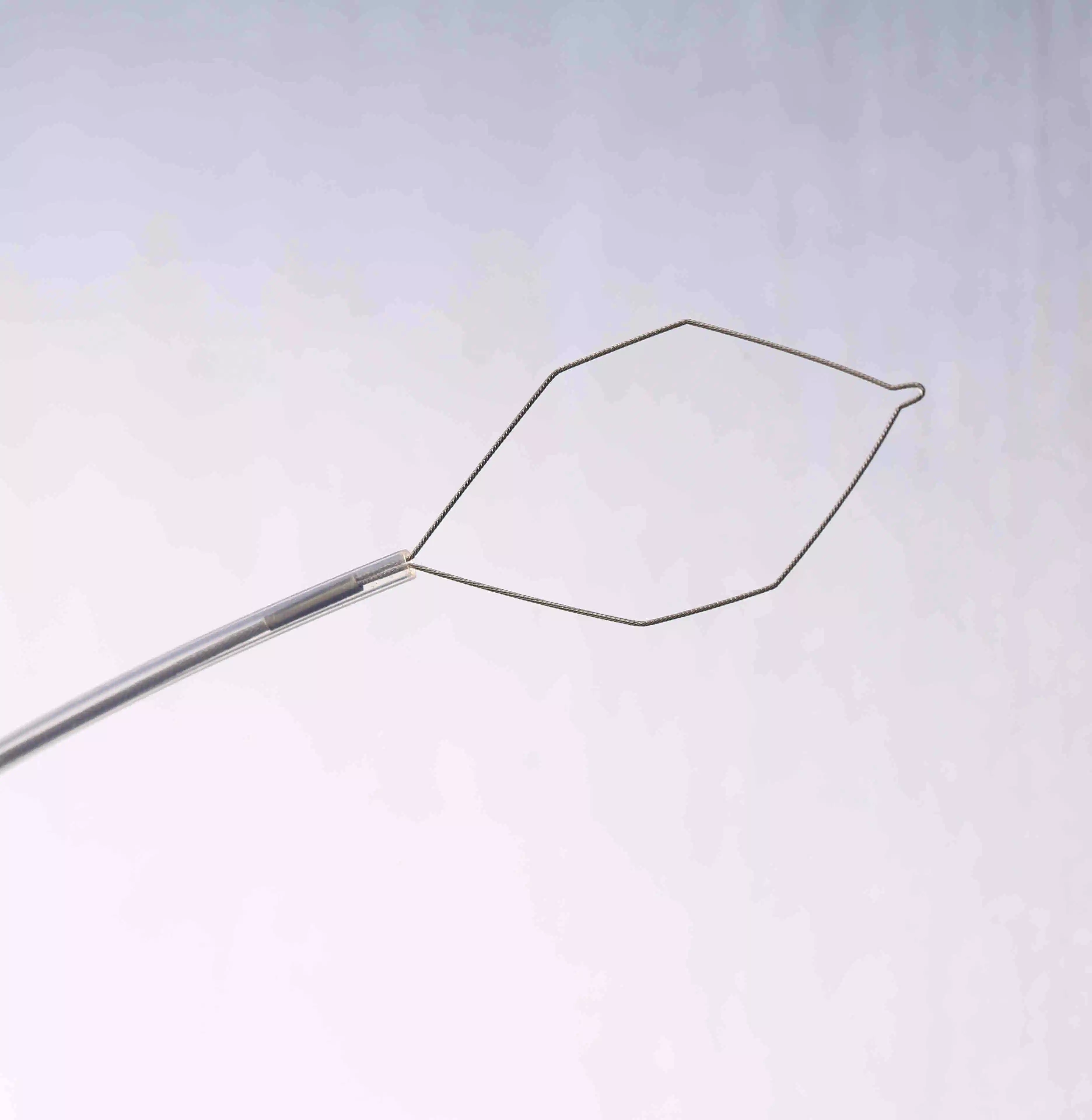Disposable Endoscope Accessory Device Polypectomy Snare