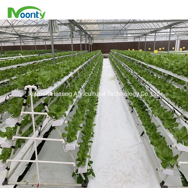 Low Price/Agriculture/Farm/Multi-Span/Polycarbonate Greenhouse with Irrigation Hydroponic System for Strawberry/Vegetables/Flowers/Tomato/Pepper