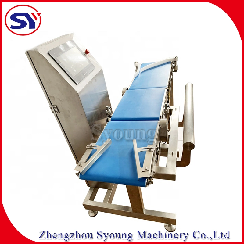 Digital Intellectual Conveyor Belt Scale Checking Weigher System for Aquatic Industry