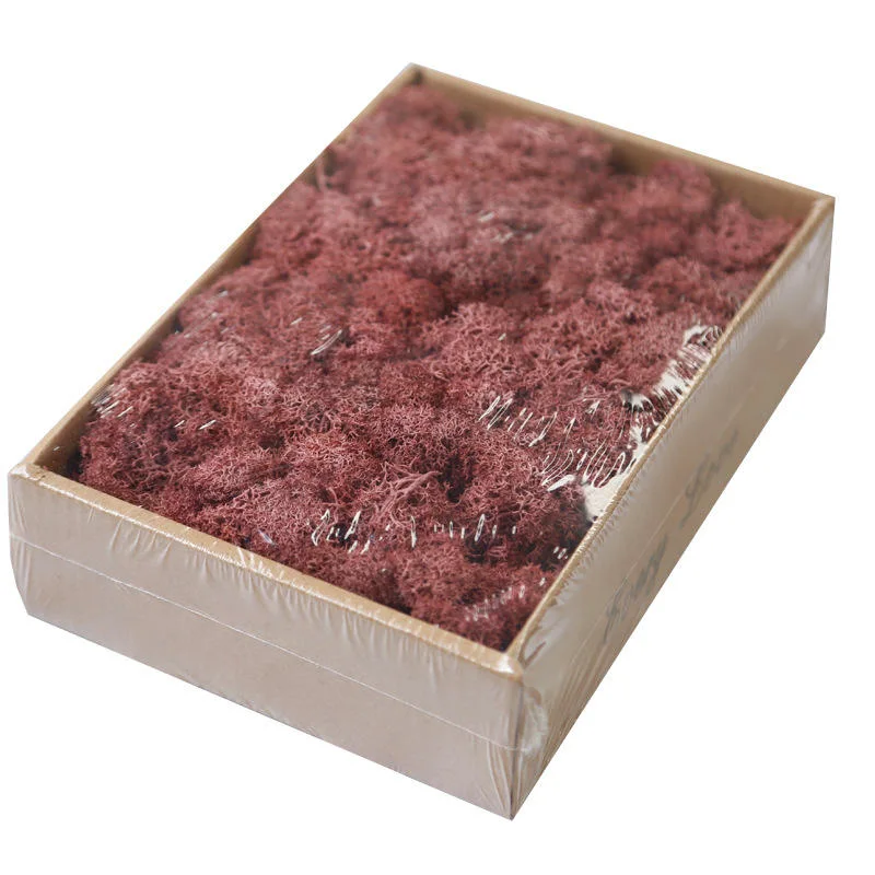 Best Selling Stabilized Preserved Eternal Lichen Reindeer Moss Office Decoration Muschio