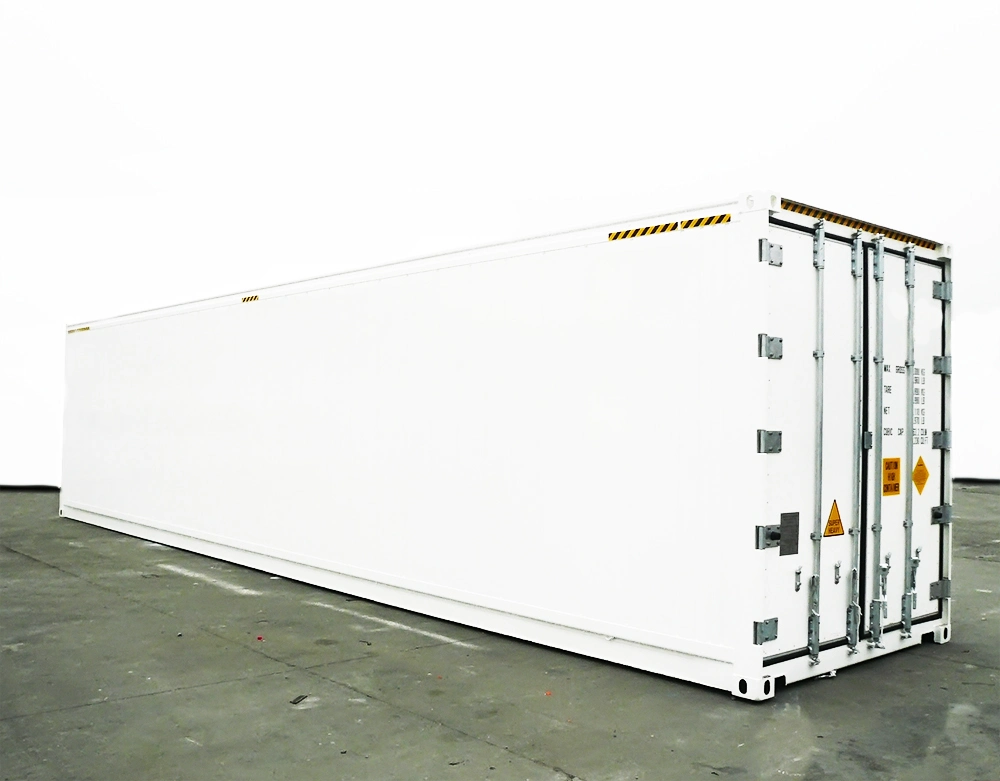 Ultra Reefer Container for Tuna Transport Minus 60 Centi Degree