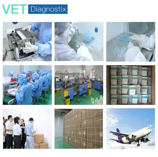 Canine Lepto Test Veterinary Leptospira Antibody Rapid Diagnostic Test