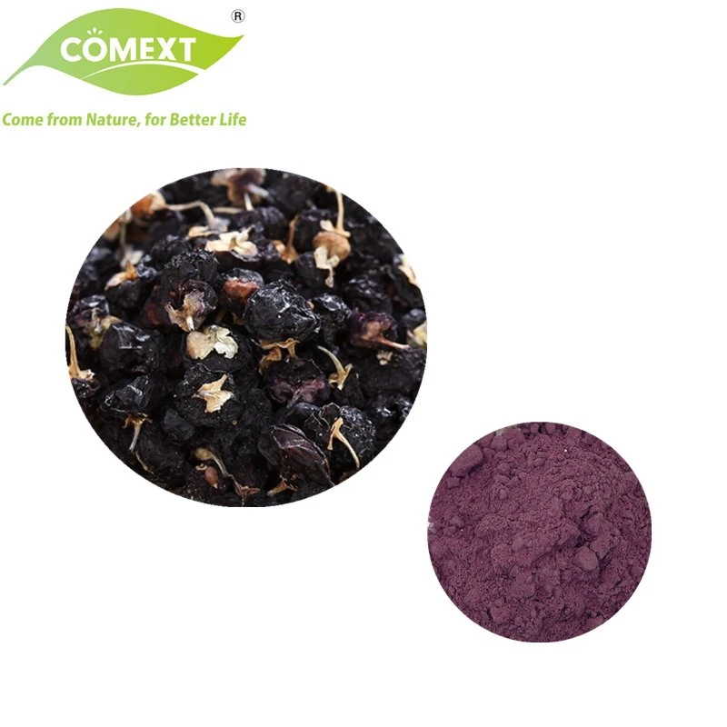 Comext USA Warehouse Precio a granel Extracto de jugo de Wolfberry secado orgánico Plantas Negro Goji Berries polvo