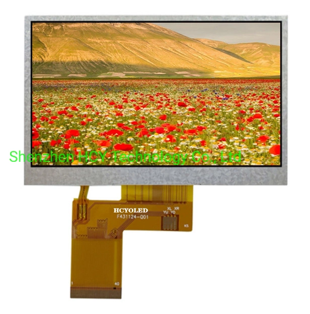 Multi-Functional 4.3" Color Small LCD Screen, LCD Inverter Display, Smart Watch Display for Medical, Handheld Devices