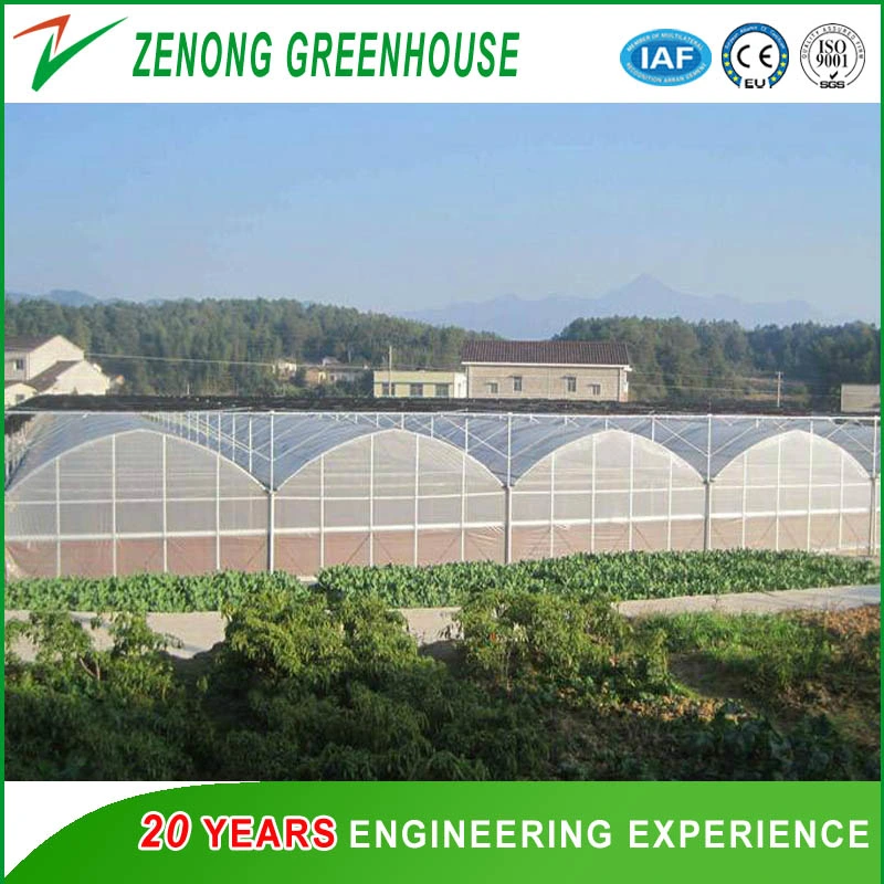 Good Quality Po/PE/EVA Film Covered Greenhouses for Vegetable/Flower/ Seedbreeding