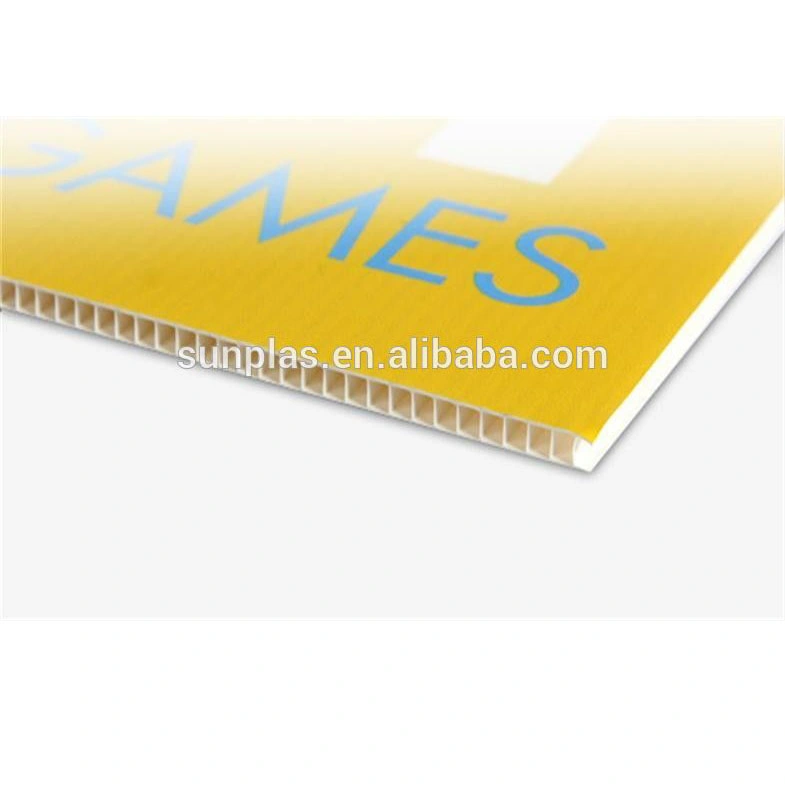 Wholesale/Supplier Low MOQ Custom Pattern Design PP Hollow Corrugated Plastic Sheet