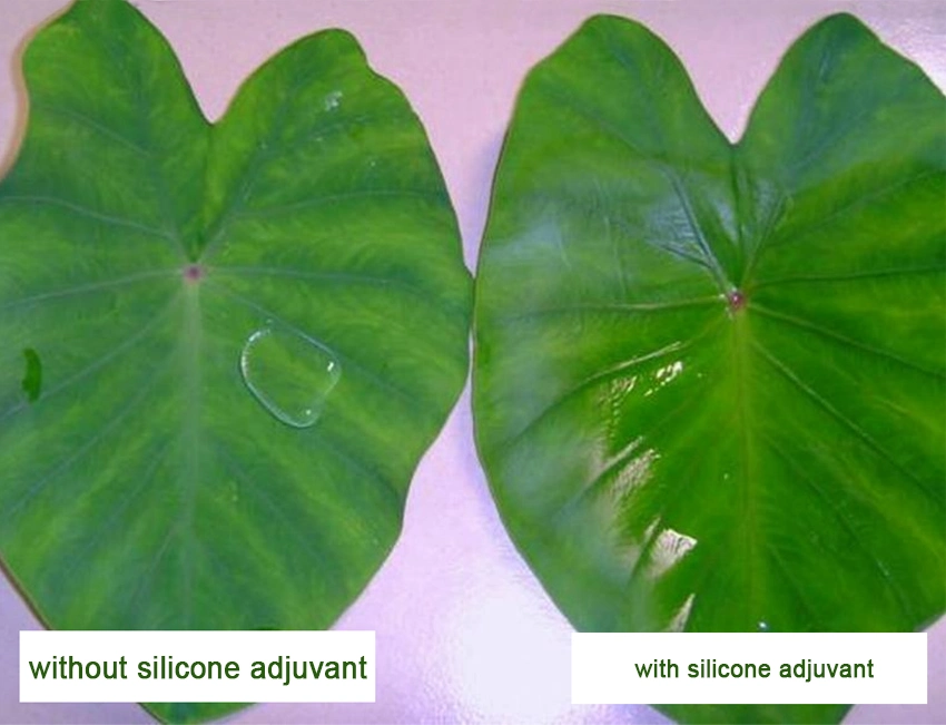 Silicium Organique Heptamethyltrisiloxane Polyalkyleneoxide adjuvant modifié