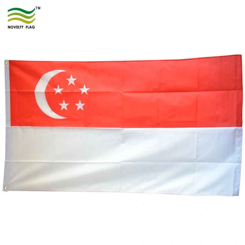 Nylon/Polyester Custom Country Flag/Company Flag