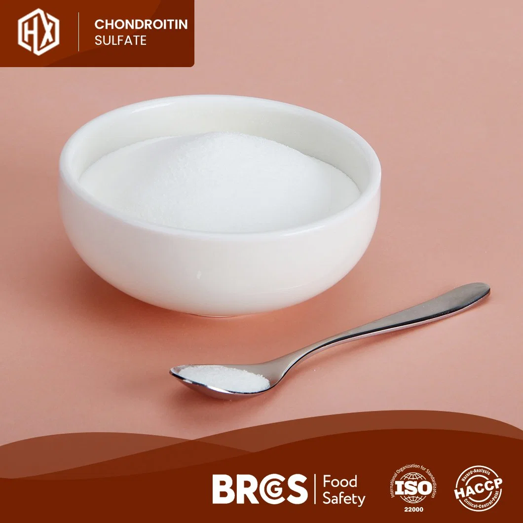 Haoxiang Supply Food Grade Pure Chicken Bone Chondroitin Sulfate Powder for Bone Health OEM Customized Improves Bone Density