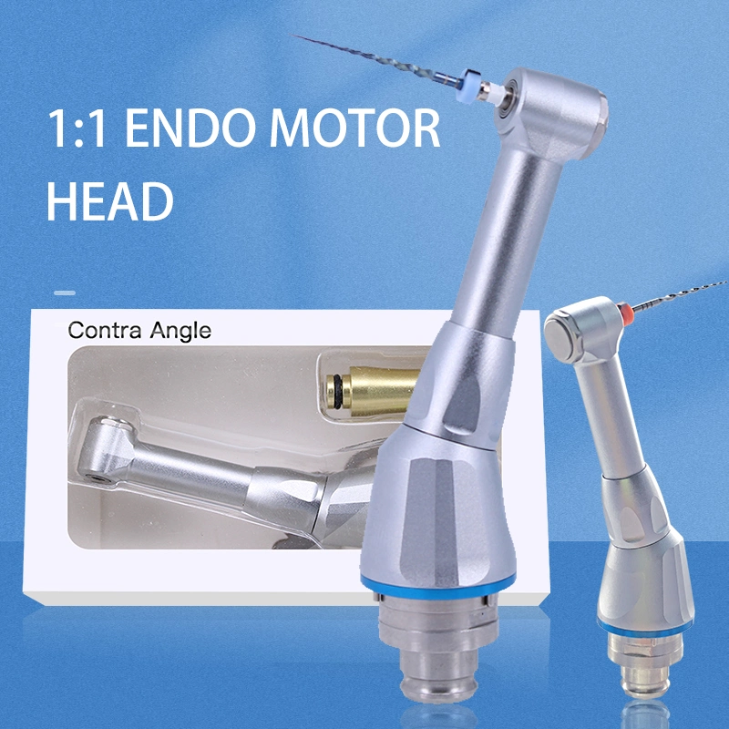 Foshan Best Seller Dental Handpiece Contra Angle Handpiece Endo Head 1: 1 Replacement for Endo Motor Machine Root Canal Treatment