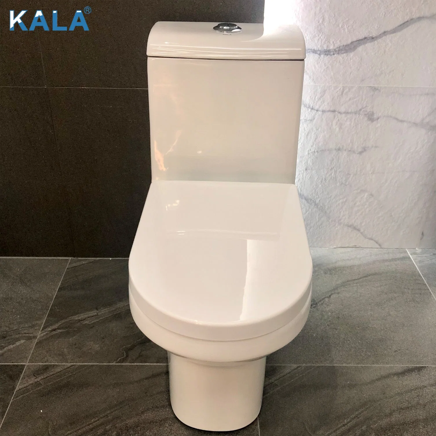 Modren Style Easy Flushing Rimless Washdown One-Piece Sitting Toilet