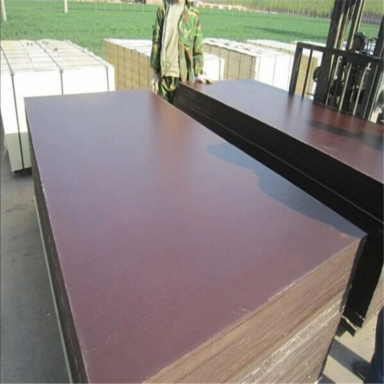 Poplar Eucalyptus Black Brown Film Faced Marine Plywood for Building