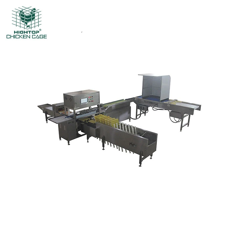 Big Poultry Chicken Farm 20000 Eggs Per Hour Automatic Egg Grading And Sorting Machine With Auto Packing And Printing