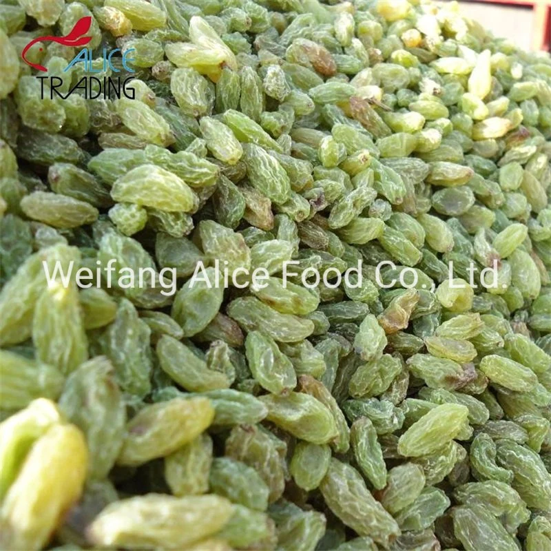 Healthy Fruit Snacks Pure Natural Bulk Packing Xinjiang Turpan Green Raisin