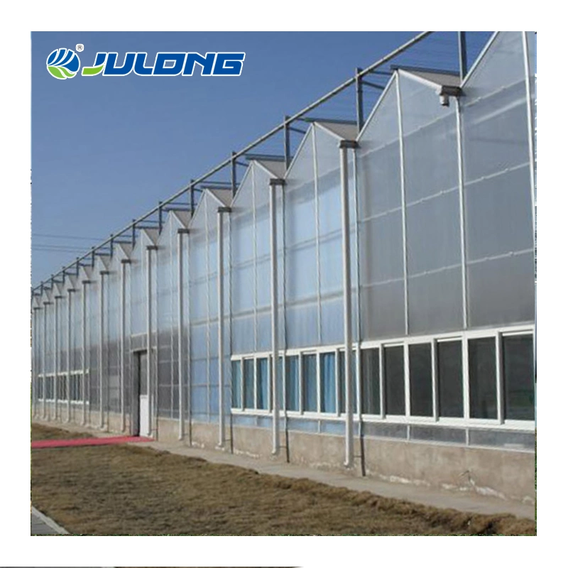 High quality/High cost performance  Agricultural Commercial Multi Span Polycarbonate Greenhouse with Nice Price