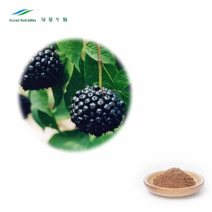Factory Supply Siberian Ginseng Extract with Eleutheroside B+E 0.8%