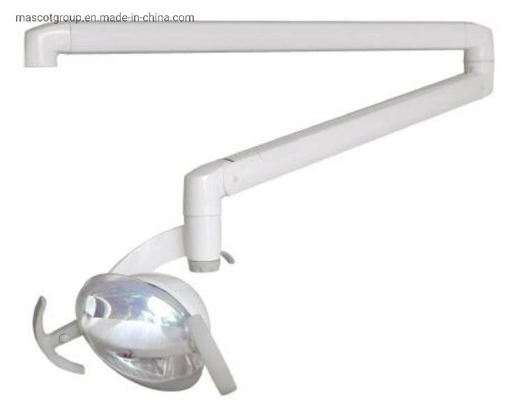 Dental Chair Oral Light LED Oral Lamp LED Dental Light Surgical Dental Exam Light Shadowless Lamp