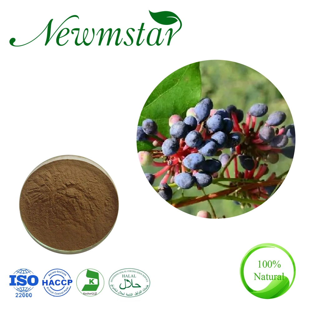 100% Natural Red Vine Leaf Extract/Vitis Vinifera Leaf Extract with Factory Price & Free Samples