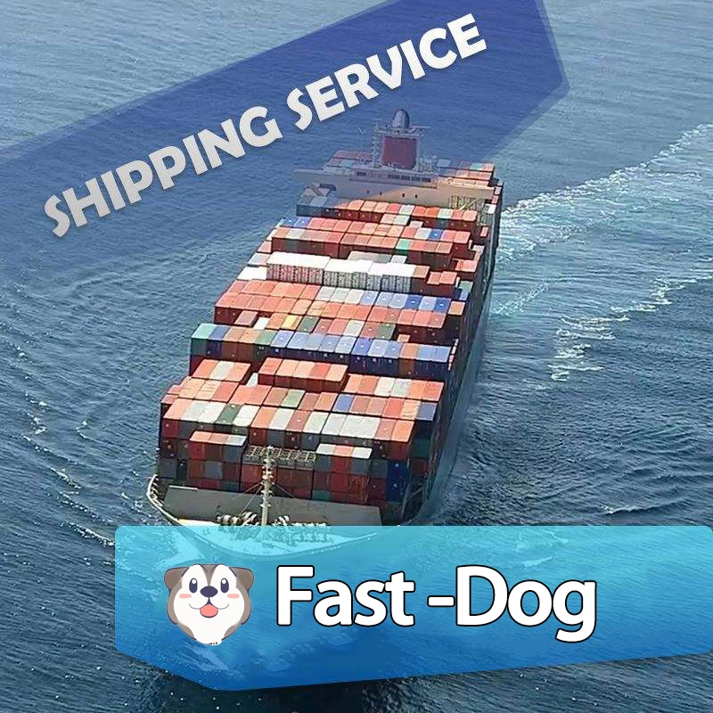 Wholesale Price Low MOQ FCL DDP Door to Door Forwarder LCL Container Sea Freight Rates