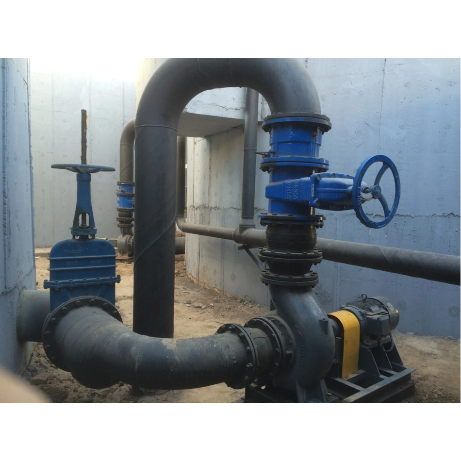 6p11kw 11dry Pit Non-Clog Sludge and Sewage Pump Single Stage Excess Sludge Return Pump Centrifugal Type