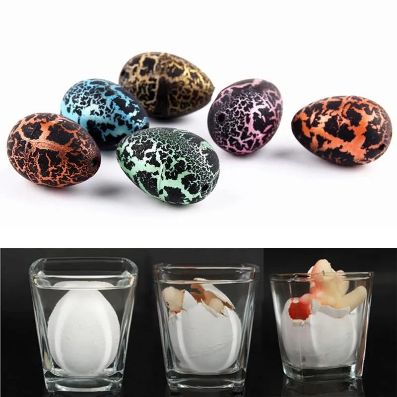 Wholesale/Supplier Educational Toys Gifts Cute Magic Small Black Crack Hatching Add Water Growing Dinosaur Eggs for Kids