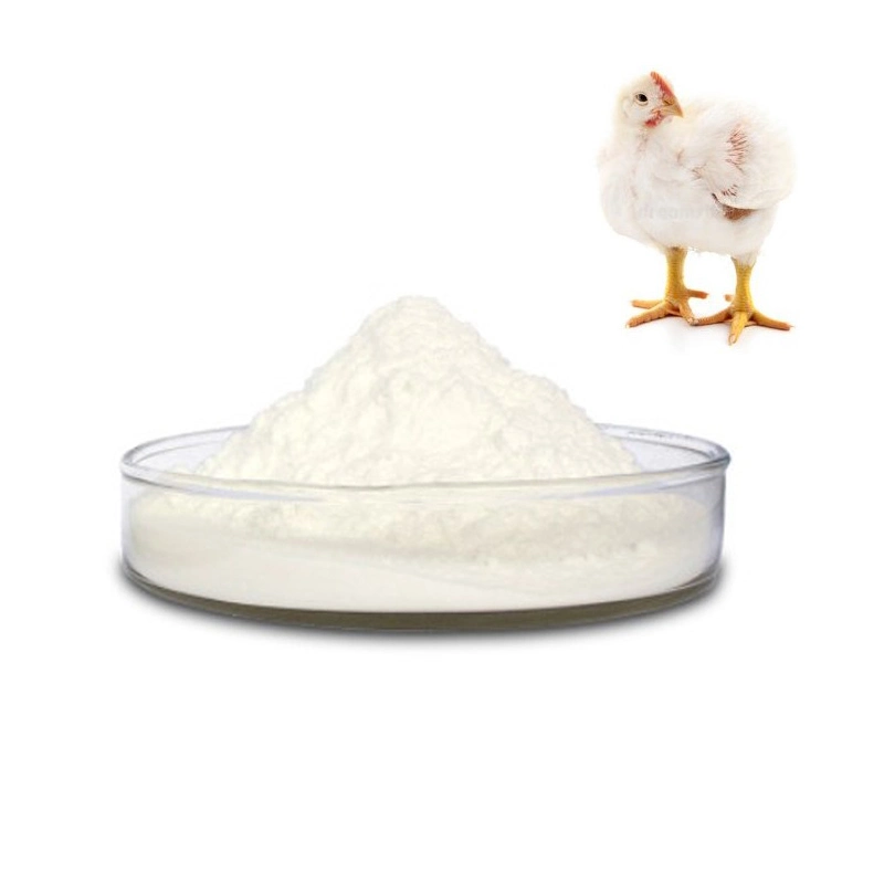 Extrait d'os de poulet Tpye 2 peptide en poudre de collagène