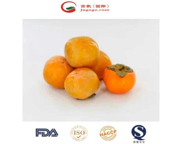 High quality/High cost performance Fresh Crispy Persimmon Professional Supplier From China