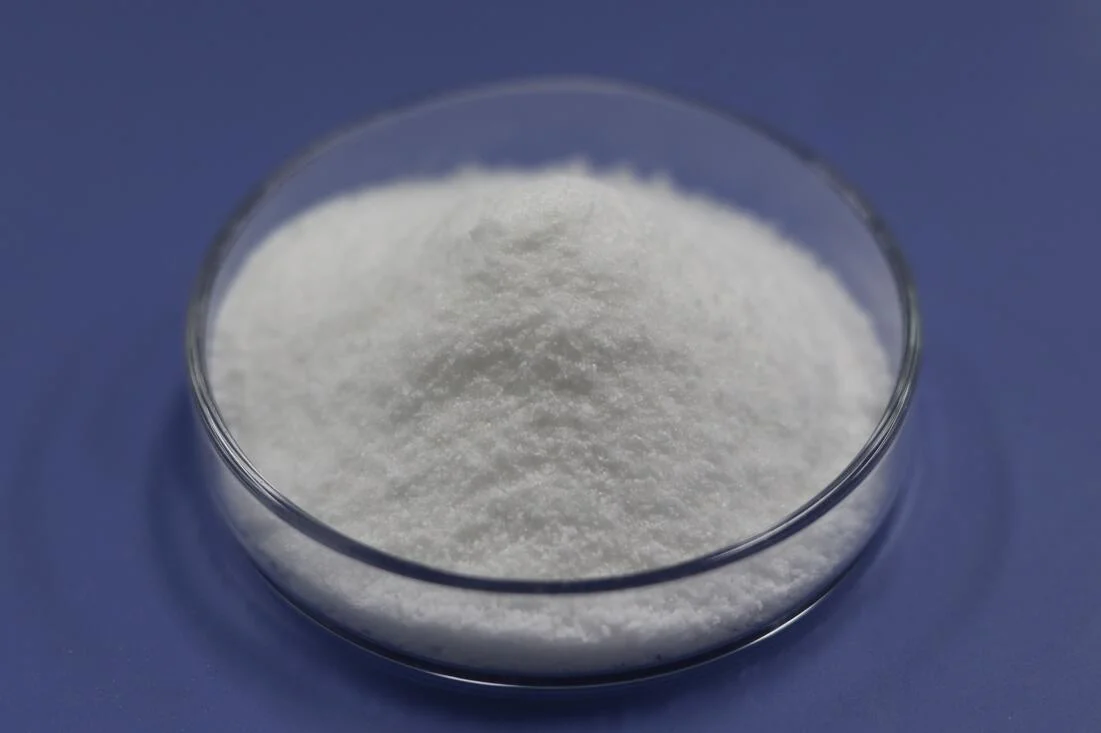 High Purity Acetyl-L-Carnitine Hydrochloride (CAS#5080-50-2) for Food Additives