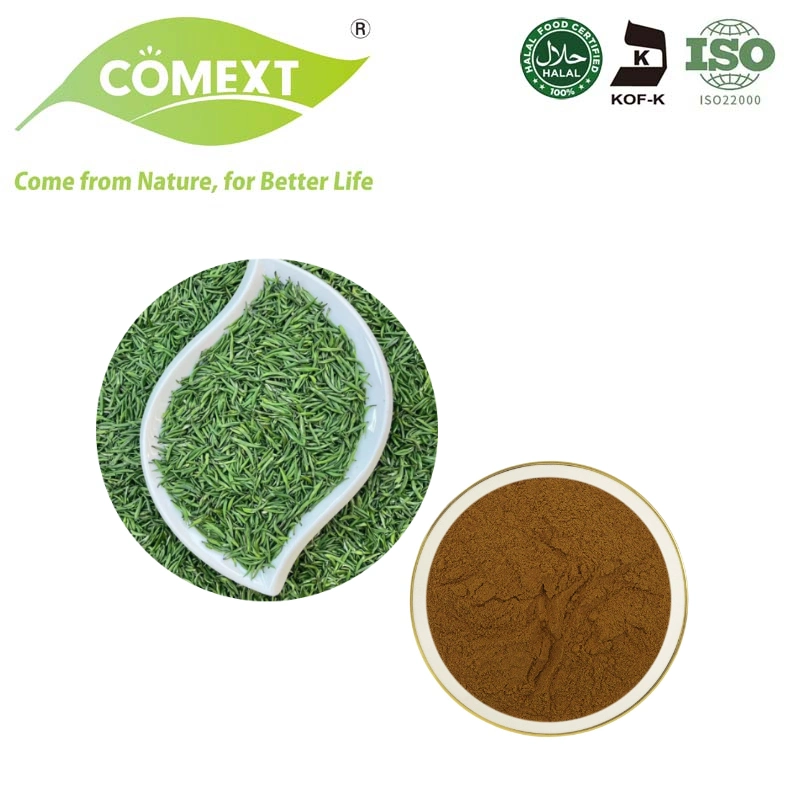 Comext Pure Natural 98% Polyphenol, 70% Catechin, 50% EGCG Green Tea Extract