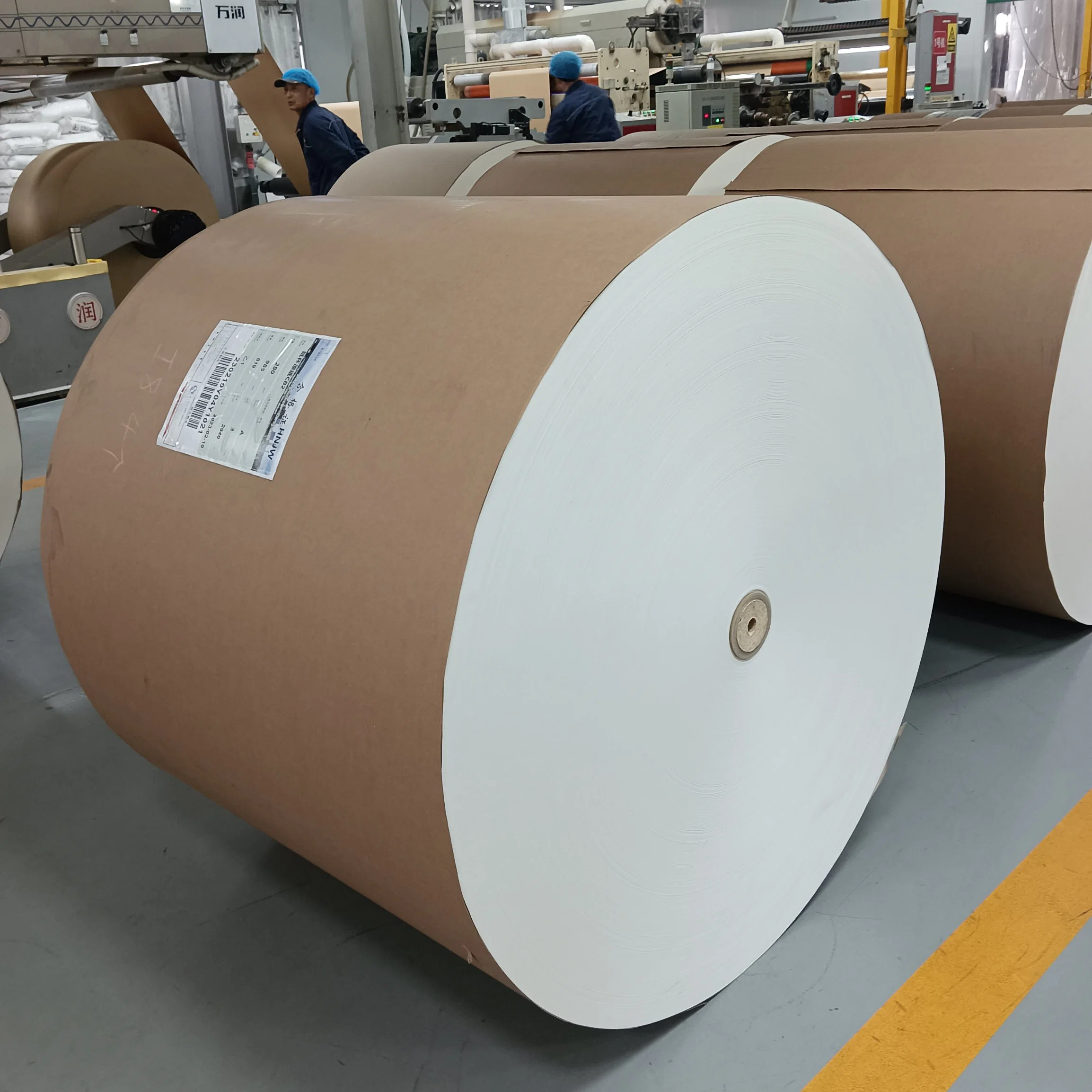 PE Coated Roll for Paper Cups Food Packaging Waterproof Pack Paper