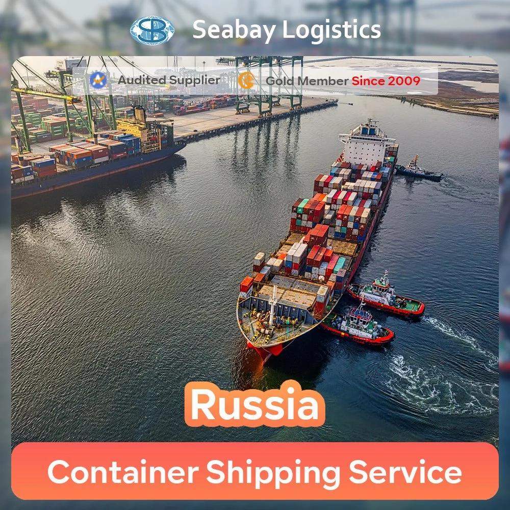 Envío de contenedores Nvocc desde China a Rusia o Rusia Transporte FCL LCL