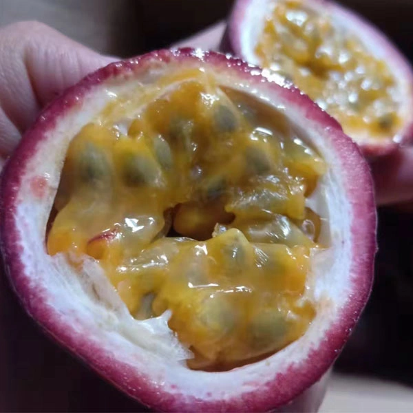 Touchhealthy Supply Purple Passion Fruit Seeds with High Germination Rate