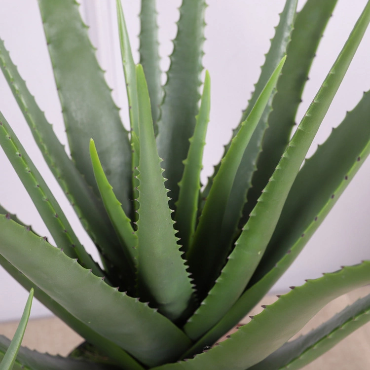 Plant Plastic Aloe with Pot for Family Decoration Greenery Aloe Bonsai