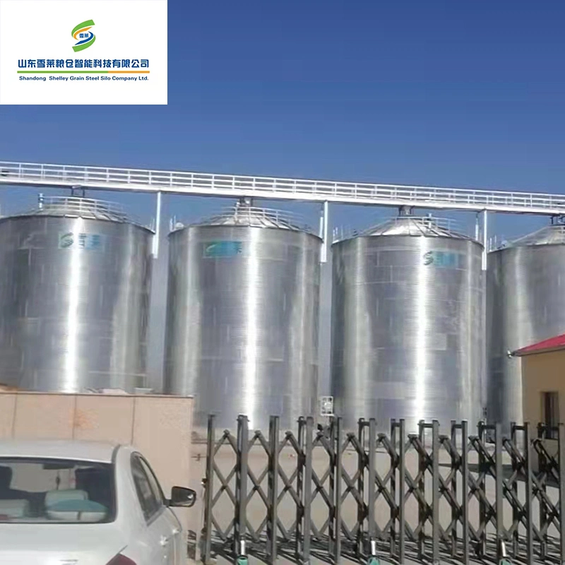 El conjunto de acero galvanizado en caliente de alimentación de los silos de almacenamiento de grano de la granja en venta