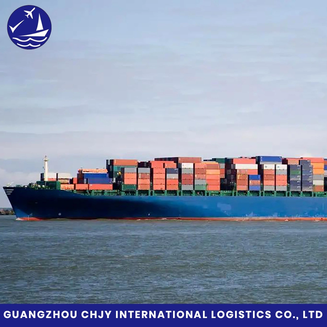 Cheapest and Reliable LCL/FCL DDP Shipping Service From Shenzhen to New Zealand