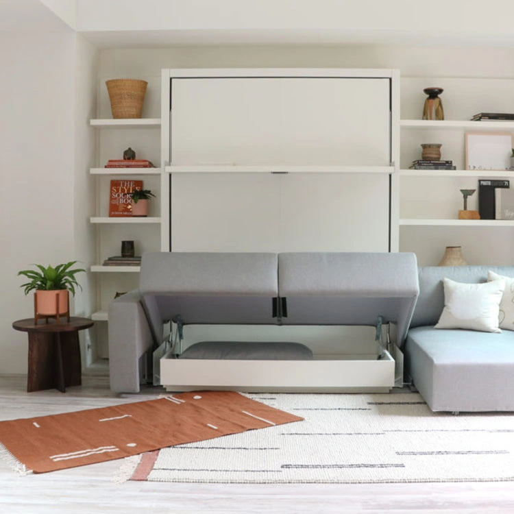 Unoticeable Bookshelf Murphy Bed Minimalist Furniture