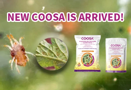 COOSA Amino Acid Fruits Vegetable Organic Fertilizer Granular