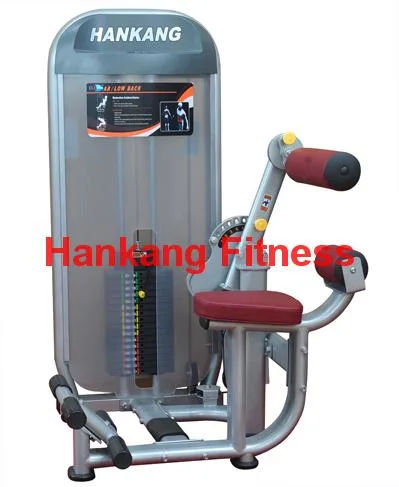 gym equipment,strength machine,fitness machine,dual motion,Ab/Low Back Equipment (HN-2008)