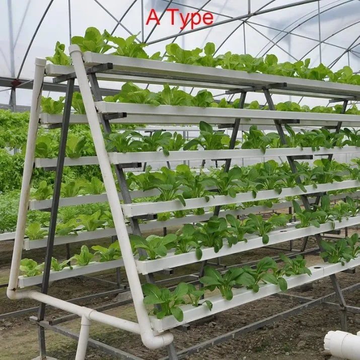 a Type Space Saving Hydroponics Lettuce Salad Planting PVC Nft Channel Hydroponics System