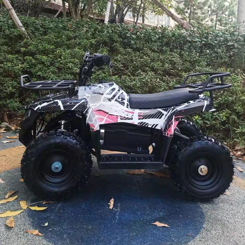 Los niños ATV Quad eléctrico 800W