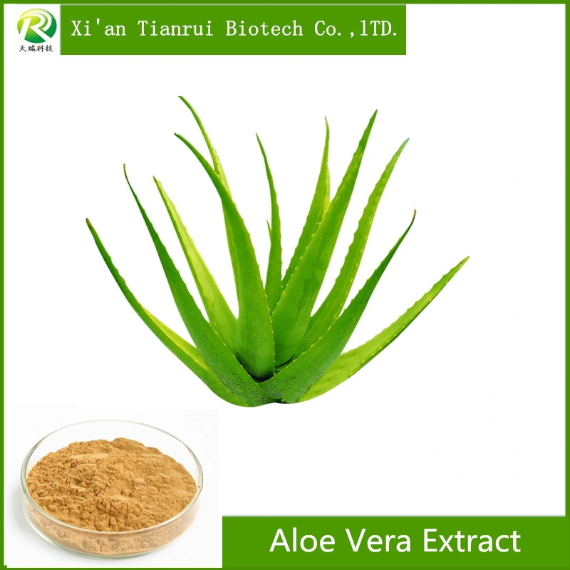 Suministro de fábrica de extracto de Aloe Vera Aloin el 20% 98% de HPLC.