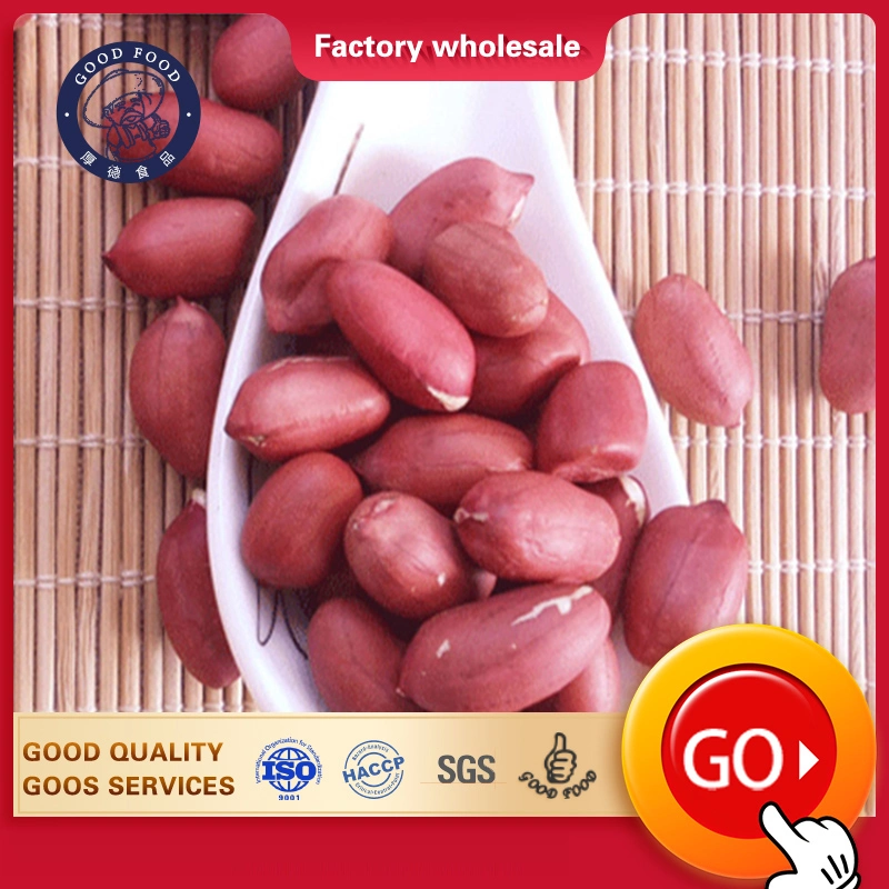 Dried Kernel Peanuts Groundnut Raw/Fresh Red Skin Arachid for Sale Chinese Factory