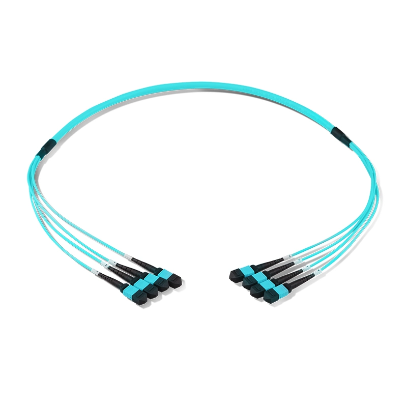 MPO/APC Fiber Optic Trunk Cable 24core 48core Sm Ofnp