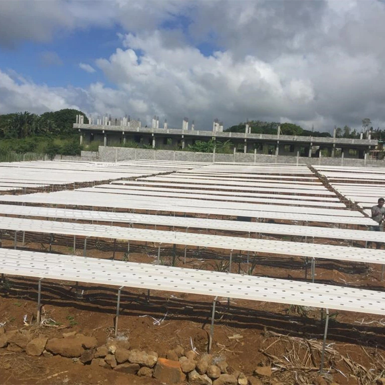 Heißer Verkauf Chinese Tunnel Greenhouse Aquaponics Superarm Nft Hydroponic System Landwirtschaftliche Zubehörprodukte