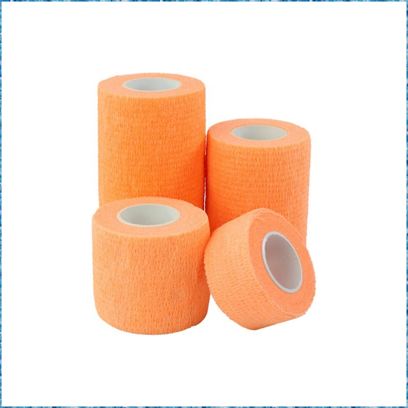 Free Samples CE FDA Pet Horse Veterinary Printed Cohesive Elastic Bandage