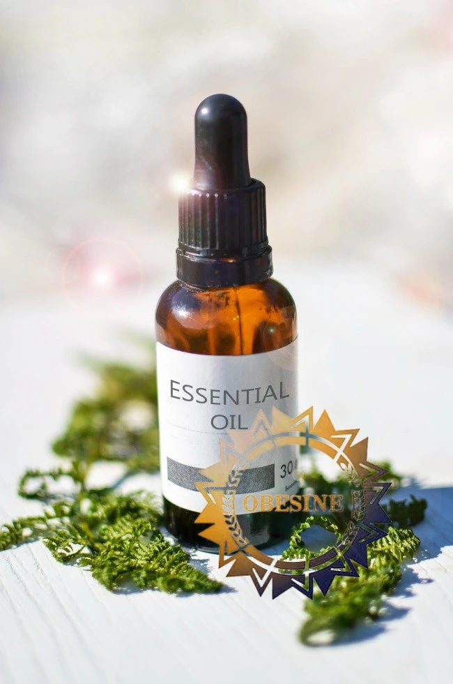 Besine Commerical Mugwort Essential Oil Extractor Essential Oil Extractor réservoir d'extraction d'huile essentielle