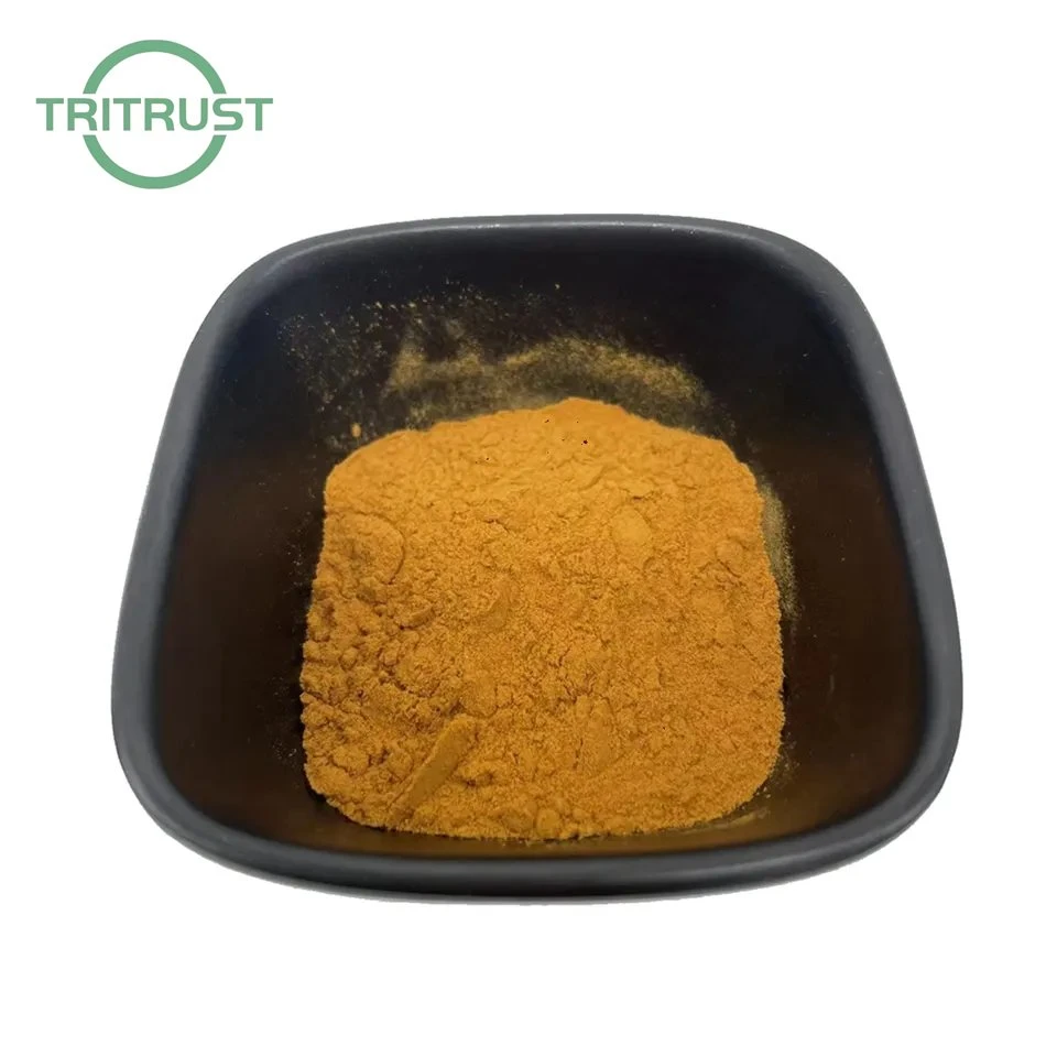 OEM Turkesterone Powder Muscle Building Ajuga Turkestanica Extract Powder 2% 10% Turkesterone Capsule CAS 41451-87-0