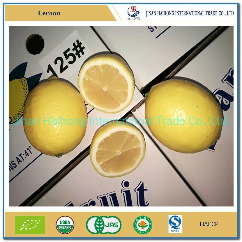 Hot Sale New Crop Fresh Lemon Organic Fresh Lemon From China with Cheap Price