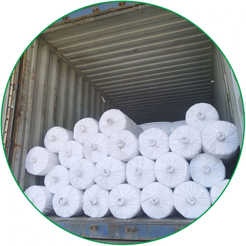 Factory Wholesale/Supplier High quality/High cost performance UV Stabilized Weed Resistant White Transparent PE Garden Plastic Mulch Greenhouse Protective Film